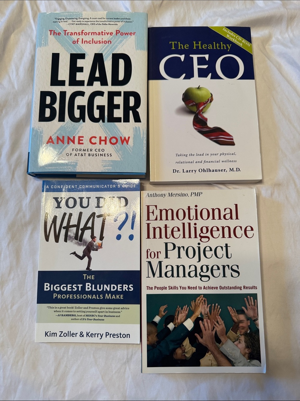 Leadership books. Lead bigger. The healthy ceo. You did what? EQ for PMs.